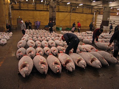 Fish market
